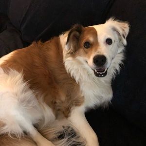 Meet your Posher, Stacey